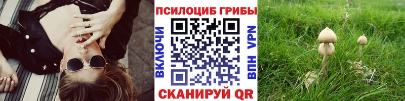 MEGA ссылки  Чухлома  Псилоцибиновые грибы GOLDEN TEACHER 